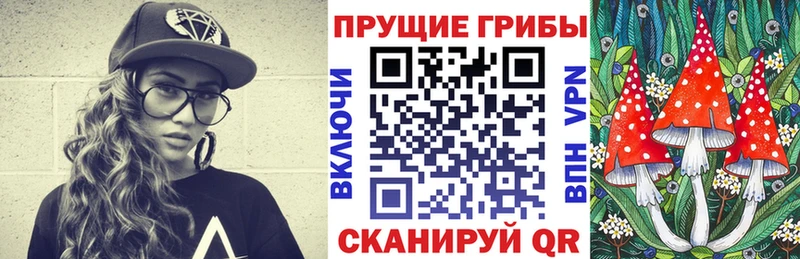 маркетплейс какой сайт  Починок  Галлюциногенные грибы Psilocybine cubensis 